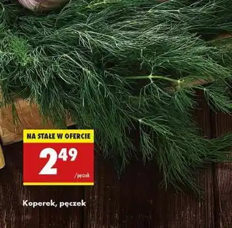 Biedronka Koperek pęczek oferta