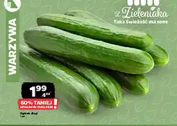 Netto Ogórek dlugi oferta