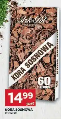 Stokrotka Market Kora Sosnowa oferta
