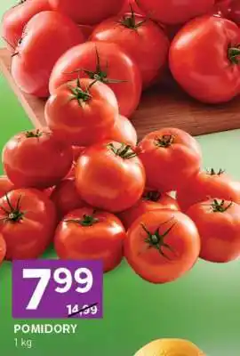 Stokrotka Express Pomidory oferta