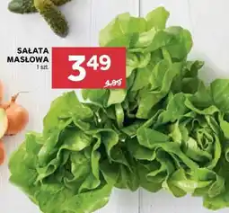 Stokrotka Market Sałata masłowa oferta