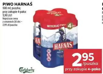 Stokrotka Market Piwo HARNAŚ oferta