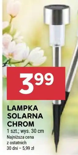 Stokrotka Market LAMPKA SOLARNA CHROM oferta