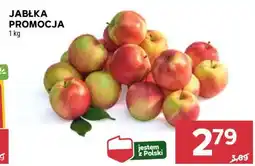 Stokrotka Market Jabłka oferta