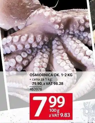 Selgros Osmiornica OK. 1-2 kg oferta