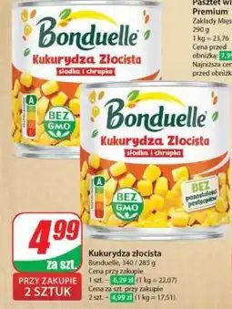 Dino Kukurydza złocista oferta