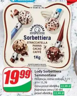 Dino Lody Sorbettiera Sammontana oferta