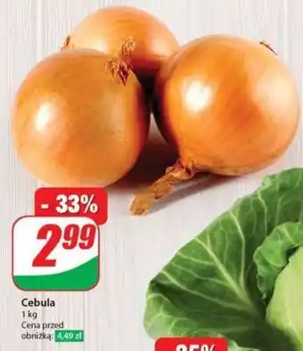 Dino Cebula oferta