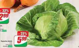 Dino Kapusta młoda oferta