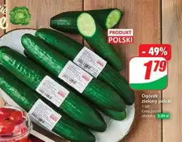 Dino Ogórek zielony polski oferta