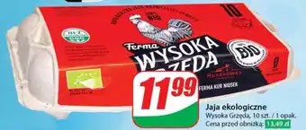 Dino Jaja ekologiczne oferta