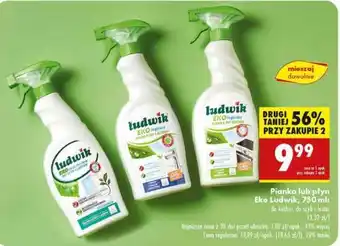 Biedronka Pianka lub płyn Eko Ludwik, 750 ml oferta