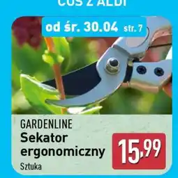 ALDI Sekator ergonomiczny oferta