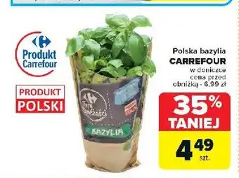 Carrefour Market Bazylia Carrefour targ świeżości oferta