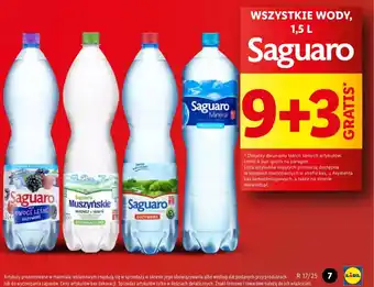 Lidl Woda Saguaro oferta