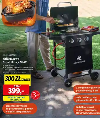 Lidl Grill gazowy Grillmeister oferta