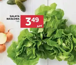 Stokrotka Sałata masłowa oferta