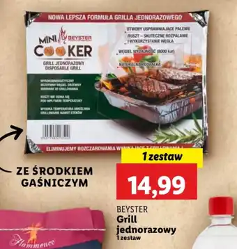 Lidl Grill jednorazowy Beyster oferta