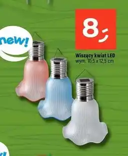 Dealz Wiszący kwiat led 10.5 x 12.5 cm oferta
