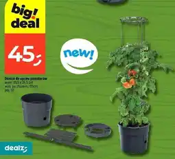 Dealz Donica do upraw pomidorów oferta