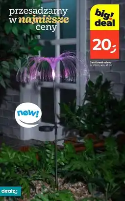 Dealz Lampa solarna 20 cm oferta