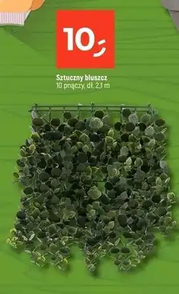Dealz Bluszcz sztuczny oferta