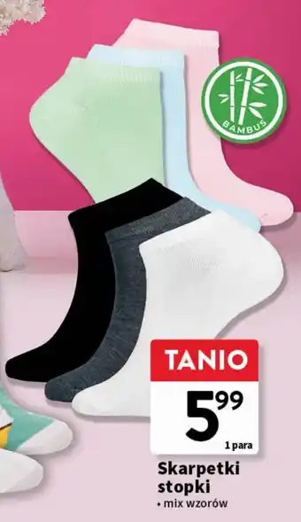 Intermarche Stopki damskie Moraj oferta