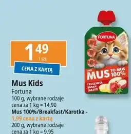 E.Leclerc Smoothie ananas-jabłko-banan Fortuna Breakfast oferta