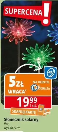 E.Leclerc Słonecznik solarny Vog oferta