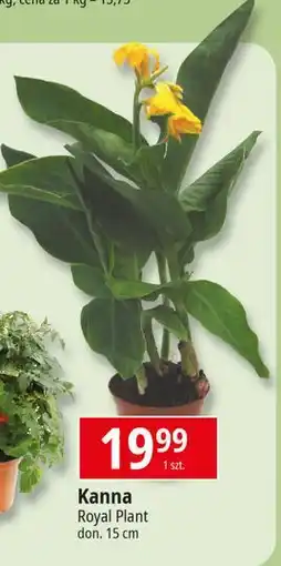 E.Leclerc Kanna oferta