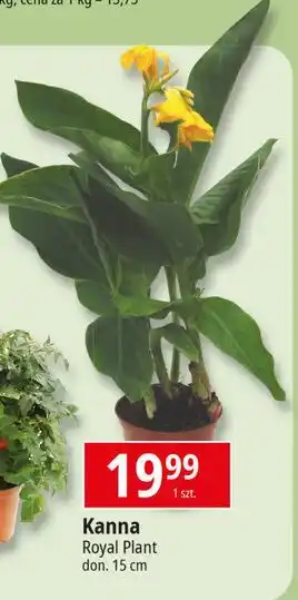 E.Leclerc Kanna oferta