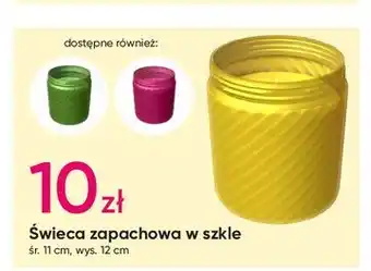 Pepco Świeca zapachowa w szkle oferta