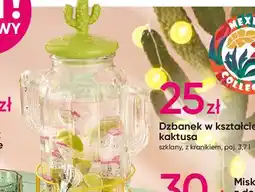 Pepco Dzbanek w kształcie kaktusa 3.7 l oferta