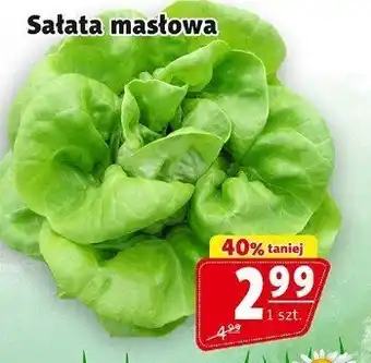 Prim Market Sałata masłowa 1 szt. Prim Market oferta