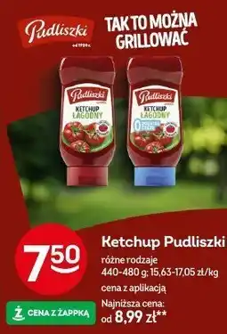 Żabka Ketchup Pudliszki różne rodzaje 440-480g oferta