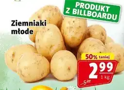 Prim Market Ziemniaki młode 1 kg Prim Market oferta