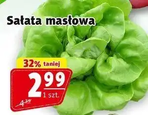 Prim Market Sałata masłowa 1 szt. Prim Market oferta