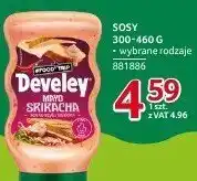 Selgros Sos 300-460 g Develey oferta