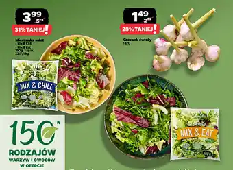 Netto Mieszanka salat oferta