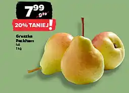Netto Gruszka Packham oferta