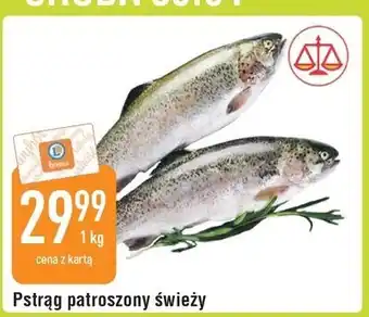 E.Leclerc Pstrąg patroszony świeży oferta