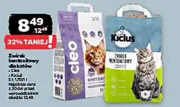 Netto Żwirek bentonitowy dla kotów oferta
