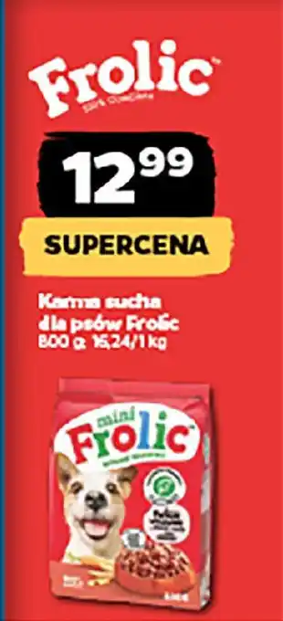 Netto Karma sucha dla psów Frolic oferta