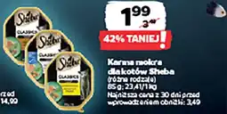 Netto Karma mokra dla kotów Sheba oferta