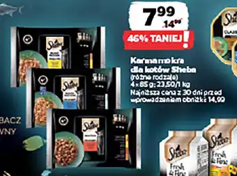 Netto Karma mokra dla kotów Sheba oferta