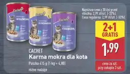 ALDI Cachet Karma mokra dla kota oferta