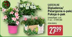 ALDI GARDENLINE Dipladenia/Pelargonia 4-pak/Fuksja 4-pak oferta