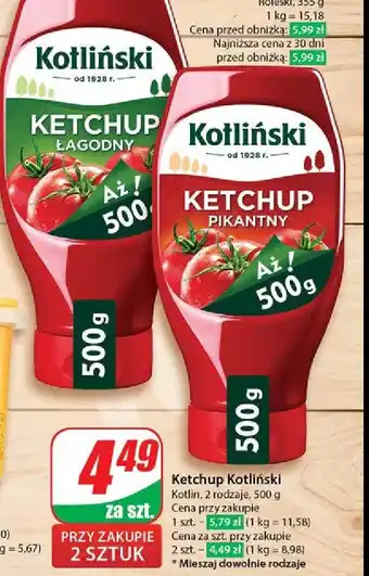 Dino Ketchup pikantny KOTLIŃSKI oferta