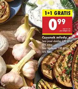 Biedronka Czosnek młody oferta