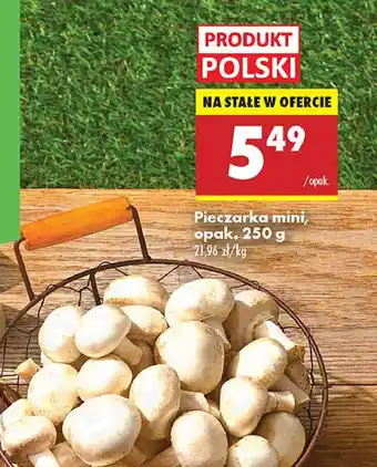Biedronka Pieczarki mini oferta